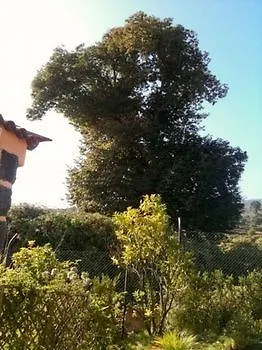 Ferienhaus Rural Las Llanadas Los Realejos